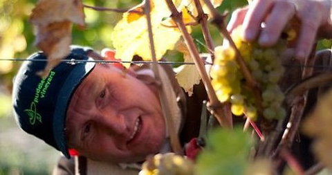 Puddleduck Vineyard - Stayed 0