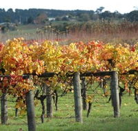 Apsley Gorge Vineyard - Stayed