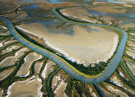 The Wilderness Gallery - Stayed 0