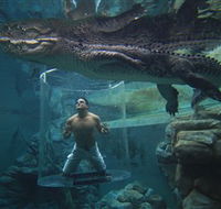 Crocosaurus Cove - Stays Accommodation