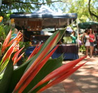 Nightcliff Markets - Stayed