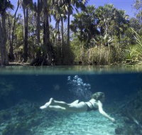 Bitter Springs - Stayed