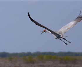 Gayngaru Wetlands Interpretive Walk - Stayed 0