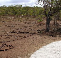 Wurrwurrwuy Garanhan Macassan Beach Interpretive Walk - Stayed