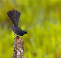 Holmes Jungle Nature Park - Stayed