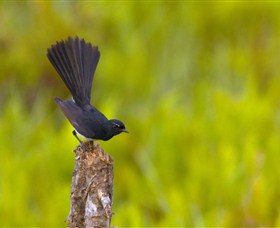 Holmes Jungle Nature Park - Stayed 0