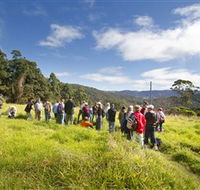 Apple Tree Park - Stays Accommodation