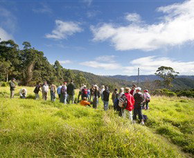 Apple Tree Park - Stayed 0