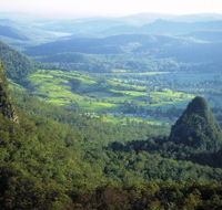 Springbrook Plateau Springbrook National Park - Stays Accommodation