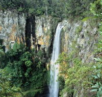 Gondwana Rainforests of Australia - Stays Accommodation