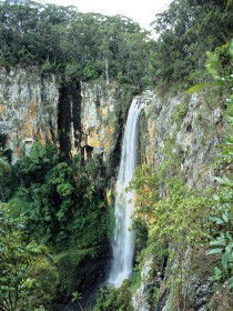 Gondwana Rainforests Of Australia - Stays Accommodation 0
