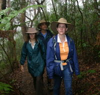 Mount Cougal Springbrook National Park - Stays Accommodation