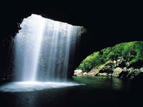 Natural Bridge, Springbrook National Park - Stays Accommodation 0