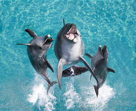 Sea World - Stayed 0