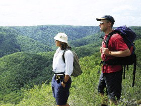 Sunshine Coast Hinterland Great! Walk - Stayed 0