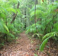 Delicia Road Conservation Park - Stayed