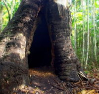 Tewantin National Park - Stayed