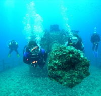 Ex-HMAS Brisbane Conservation Park - Stays Accommodation