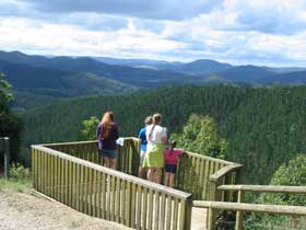 Kenilworth Forest Reserve - Stays Accommodation 0