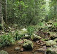 Amamoor State Forest - Stays Accommodation