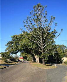 North Sunshine Coast QLD Stays Accommodation