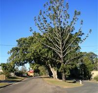 Anzac Avenue Memorial Trees Beerburrum - Stays Accommodation
