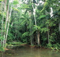 Mount Allan Trail - Stays Accommodation