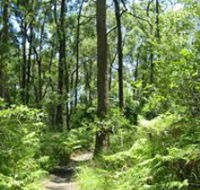 Mapleton Falls National Park - Stayed