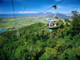 Skyrail Rainforest Cableway - Stays Accommodation 0