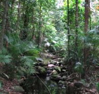 Mossman Gorge Rainforest Circuit Track Daintree National Park - Stayed
