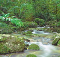 Mossman Gorge Daintree National Park - Stayed