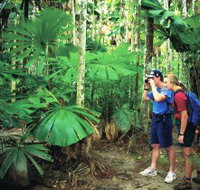 Mount Sorrow Ridge Trail Daintree National Park - Stayed