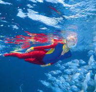 Great Detached Reef Dive Site - Stayed