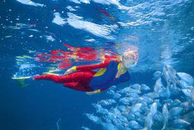 Great Detached Reef Dive Site - Stayed 0