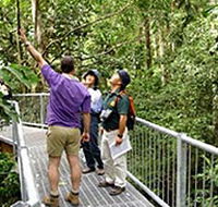 Daintree Discovery Centre - Stayed