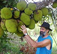 Cape Trib Exotic Fruit Farm - Stayed