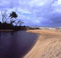 Russell River National Park - Stayed