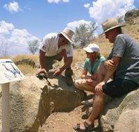 Riversleigh Fossil Fields - Stayed