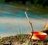 Charleville - Mangalore Warrego River Fishing Spot - Stayed