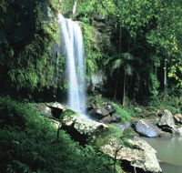 Curtis Falls Joalah Section - Stayed