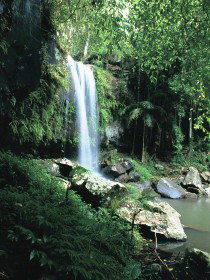 Curtis Falls, Joalah Section - Stayed 0