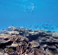 Australian Institute of Marine Science - Stayed