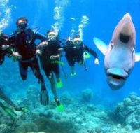 Gotham City Dive Site - Stayed