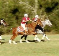 Morgan Park - Stayed