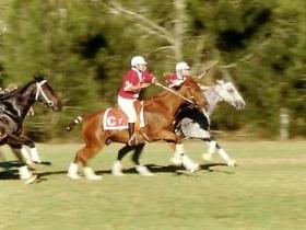 Morgan Park - Stayed 0