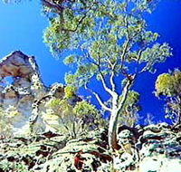 Mount Moffatt Section - Carnarvon National Park - Stayed