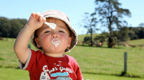 Maleny Dairies - Stayed 5