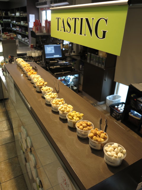 Nutworks - Stayed 11