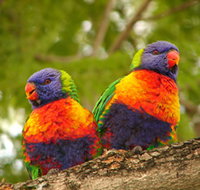 Blue Mountain Park - Stayed