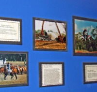Town Hall Photographic Display - Stayed